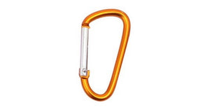 Karabiner-Schlüsselanhänger