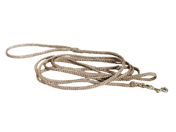 Hundeleine gold 3 Meter