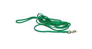 Hundeleine grasgrün 3 Meter