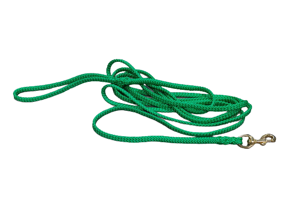 Hundeleine grasgrün 3 Meter