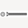 SB ISO 14581 A4 M10x70 TX50 2 stuks (blister 2),  + DIN 934 A4 M10 SW17 2st., 10 Stuk