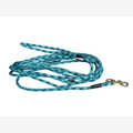 Hundeleine Smaragd 5 Meter mit Messingkarabiner