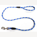 Hundeleine 4 Meter PP blau/gelb/weiß mit Griff und vernickeltem Karabinerhaken