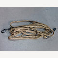 Hundeleine Gold 5 Meter verstellbar 2 schwarze Karabiner