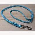 Hundeleine 5 Meter Aqua