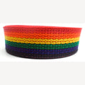 Regenbogenband auf Rolle 25 mm 10 Meter