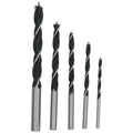 Houtborenset 3 tot 8 mm in opbergcase - 5 boren